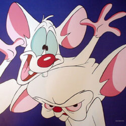 pinkyycerebro