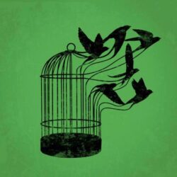 libertad-prision-jaula
