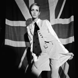 twiggy