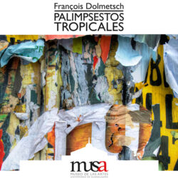 palimpmusa