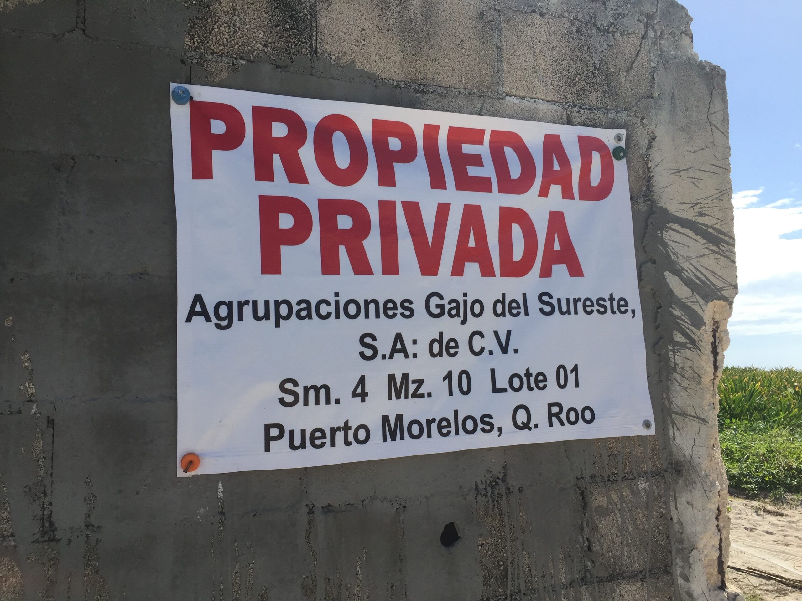puerto-morelos-despojos