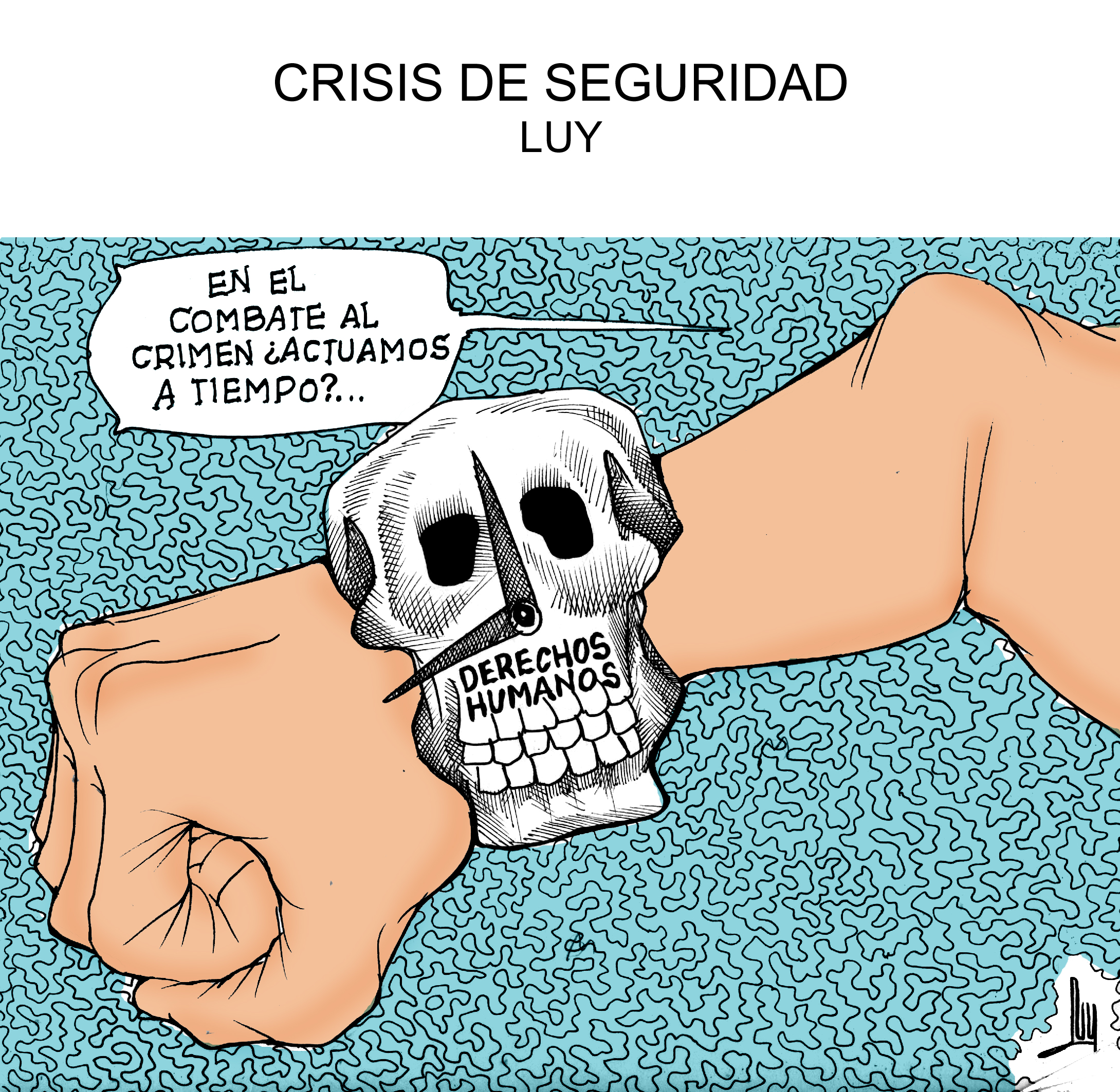 crisis-seguridad