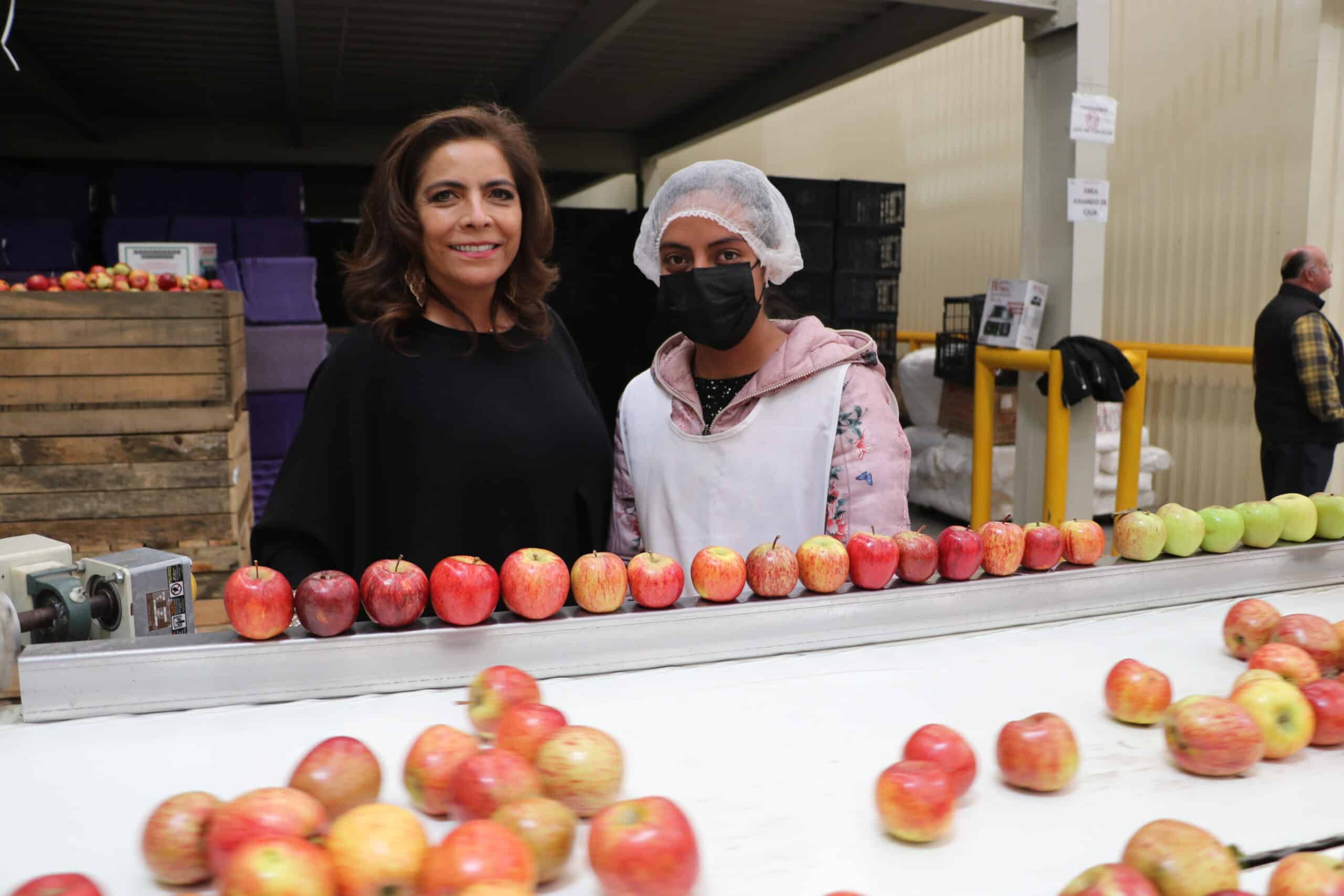 fabrica de manzanas