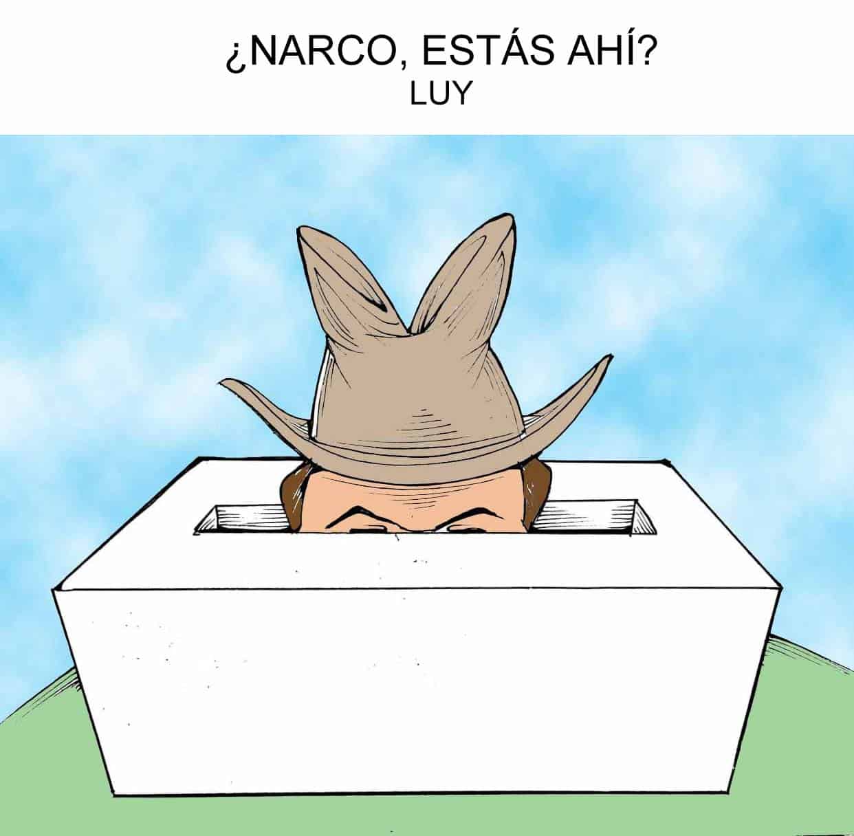 carton de luy