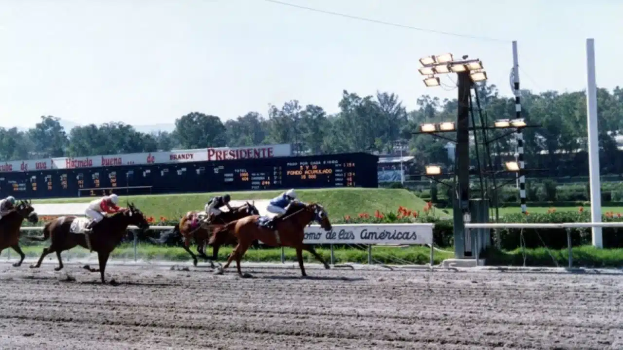 Irregularidades del Hipódromo de las Américas