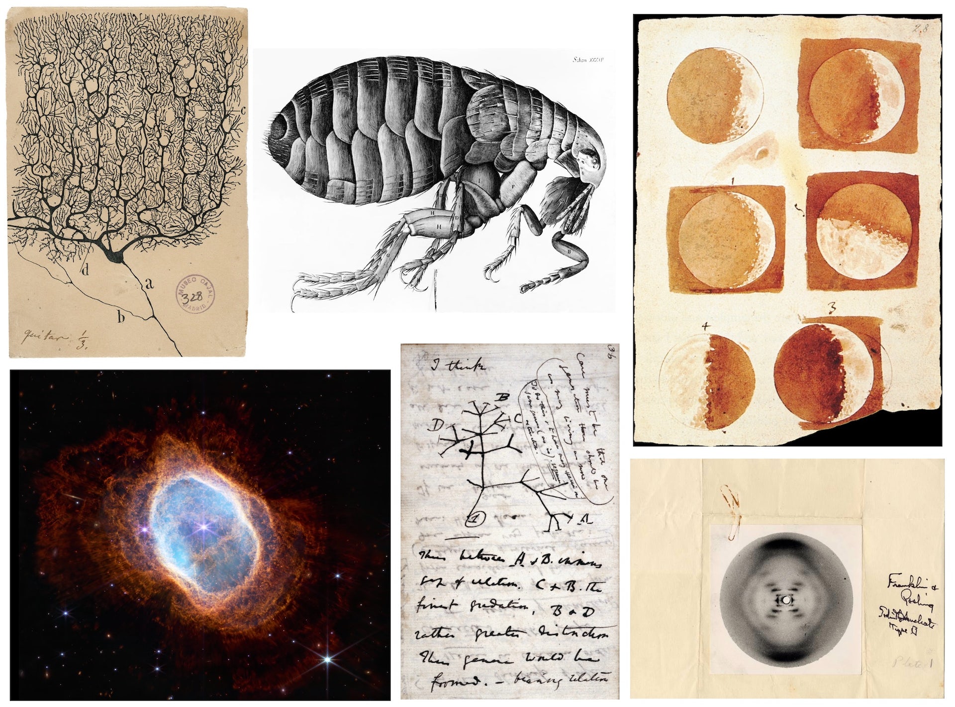 Seis imágenes que cambiaron la historia de la ciencia