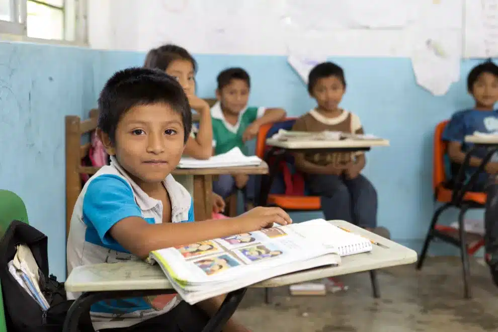 Carta para el nuevo gobierno de México: no olviden a la educación
