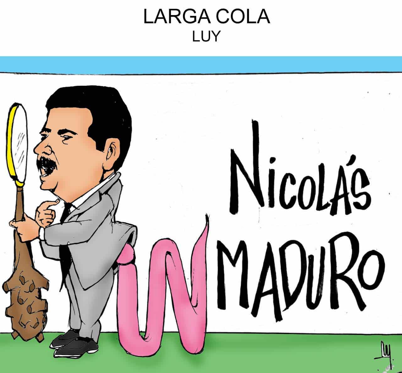 cartón de luy