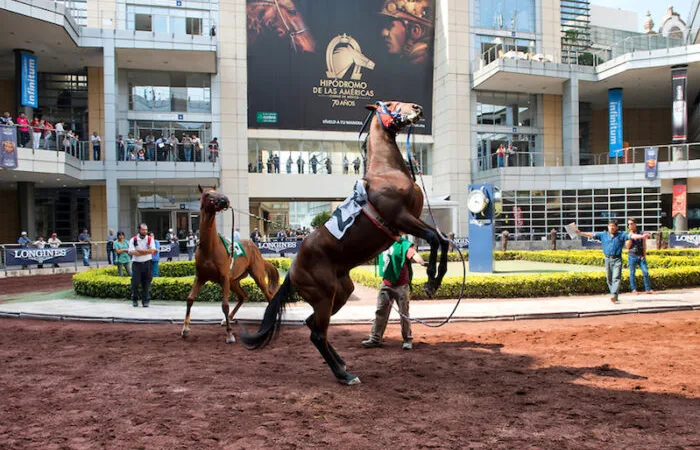 Claudia Sheinbaum Pardo, Presidente de México, se Pronuncia para no Permitir la Corrupción en el Hipódromo de las Américas