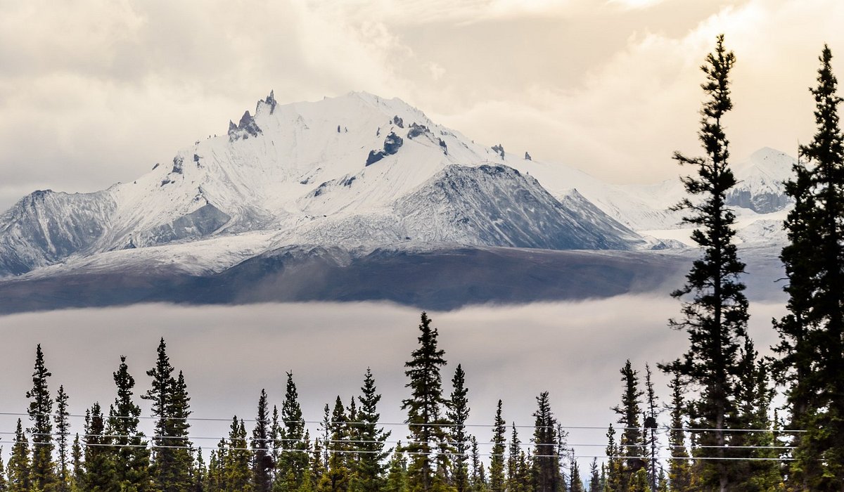 ALASKA Y LA ESPERANZA
