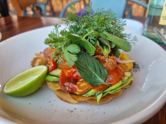 image | Ruiz Healy Times