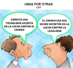cartón