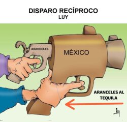 cartón